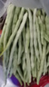 京鲜生山东新鲜白芸豆净重3斤装白不老新鲜蔬菜源头直发包邮 实拍图