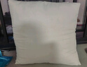 艾薇高弹沙发抱枕芯 方枕芯汽车靠垫芯腰靠芯床头靠枕芯50*50cm单只装 实拍图