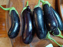 寿光农家紫茄子紫茄新鲜现摘生鲜超市蔬菜烧烤搭档 五斤绿把茄子 5斤 实拍图