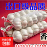 大蒜头出口品质网兜紫蒜蔬菜调料新鲜大果烧烤火锅食材 【精品网兜装】3斤装 1350g 实拍图