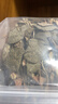 福建南靖核心产区 多年种植炖汤首选 金线莲整株礼盒包装整株干品 高品质 大圆叶品种 整株 50g*1袋 实拍图