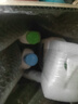 丝塔芙倍润保湿润肤乳473ml牛油果滋润补水保湿霜护手霜身体乳敏感肌 实拍图