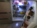 尊贵（ZUNGUI） BCD-210CV 210升 铜管卧式冰箱家用冰柜厨房橱柜台下嵌入式柜式侧开门冰箱 实体门酷金 实拍图