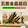 YEE鱼缸金晶超白金鱼裸缸8060家用客厅桌面小草缸龟缸玻璃生态溪流缸 22*16*17*5mm超白玻璃裸缸 实拍图