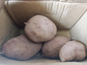 新鲜现挖紫罗兰紫薯蜜薯番薯烤红薯地瓜红苕芋头山芋整箱批发包邮 紫罗兰紫薯2斤小果 实拍图