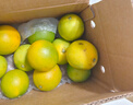 京鲜生 云南哀牢山冰糖橙/橙子 净重5斤  单果100-130g 生鲜水果礼盒 实拍图