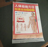 人体经络穴位标准挂图（男性）（3张）中医人体经络挂图 家庭保健养生医学 人体医学挂图 实拍图