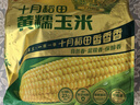 十月稻田 白糯玉米 4.16斤(260g*8根) 东北甜黏玉米棒 早餐苞米 低脂零食 实拍图