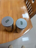 乐品乐茶正宗安溪铁观音特级 乌龙茶新茶清香型茶叶散装共252g 实拍图