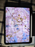 Apple/苹果 Pencil Pro 磁吸触控笔手写笔苹果笔电容笔书写绘画ipad笔 适用于iPad mini/Pro/Air 实拍图
