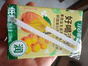 江中食疗 青苹果汁125ml*4盒 多种维生素鲜果零添加果蔬汁饮料 实拍图