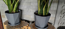 寿禾 花盆带托大号家庭种植花卉绿植容器 木里盆大号-深灰 实拍图