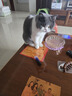 疯狂的主人 猫抓板窝超大号圆形不掉屑耐磨一体猫窝磨爪猫咪玩具 实拍图