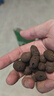 陶粒通用型垫底陶粒养花专用花盆铺面陶土种植土兰花多肉营养土 20升园艺陶粒（中颗粒12-16mm） 实拍图