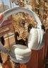 JBLTUNE520BT头戴式蓝牙无线耳机 通话降噪耳机耳麦 手机电脑笔记本耳机 白色中秋节礼物 实拍图