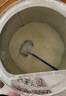 爱他美（Aptamil）白金澳洲版 儿童配方奶粉4段(36月+ )900g 6罐箱装 京东独家礼盒 实拍图