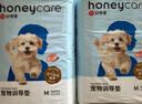 HONEYCARE好命家狗狗纸尿裤公狗尿不湿尿片安全裤 S适用体重5-15kg/12片装 实拍图