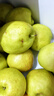 京地达山西隰县玉露香梨净重8斤单果240g+梨子当季水果源头直发包邮 实拍图