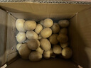 恩施小土豆富晒新鲜现挖黄皮迷你马铃薯粉糯高山洋芋马尔科土豆 5斤-小果-乒乓球大小(净重) 实拍图