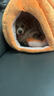 阿柴与猫加厚保暖猫窝冬季猫咪狗狗封闭式南瓜屋安全感宠物睡觉窝四季通用 实拍图