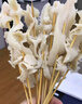 大庄园麻辣涮肚串 鲜切毛肚 牛肚火锅1.1斤/袋（约26串 含底料 无泡发） 实拍图
