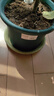 爱丽思花盆塑料圆形树脂多肉花盆种花种菜盆绿萝爱丽丝 军绿口径20.3cm 实拍图