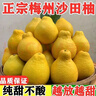 柚满园【纯甜不酸】梅州沙田柚子南福金柚正宗甜碌柚新鲜水果广东梅县 高山老树【本店招牌】带箱9-10斤 实拍图