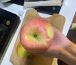 玫栀新疆阿克苏冰糖心苹果水果新鲜当季正宗直发丑甜大整箱 9斤 90mm(含)-95mm(不含) 实拍图