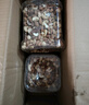 京东京造 X 京东PLUS会员联名款混合坚果1.1kg/罐 每日坚果开心果零食送礼 实拍图