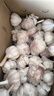 京鲜生河南杞县大蒜带皮干蒜净重5斤单果5.5-6cm 源头直发包邮 实拍图