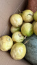 京鲜生钦蜜9号黄金百香果 5斤单果90g+/16-25个生鲜水果奶茶店 源头直发 实拍图