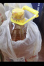 鲁花 食用油  物理压榨  非转基因 玉米油6.18L   实拍图