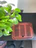 捷安玺小型茶盘家用现代简约小茶台干泡沥水茶盘功夫茶具储水托盘 【竹制茶盘】红檀木色26.5*20cm 胡桃木色 实拍图