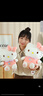 Hello Kitty三丽鸥毛绒玩具布偶玩偶布娃娃抱枕生日圣诞节礼物女 凯蒂猫公仔 实拍图