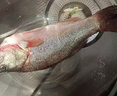 鲜活冲浪河鲈鱼400-500g/条 实拍图