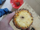 正宗海南金钻凤梨新鲜水果当季树上熟芒果凤梨【催熟食用】 1粒装单果500g-650g【7成熟，催熟再吃】 实拍图