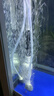 YEE鱼缸氧气泵增氧泵养鱼充氧泵增氧机低音小型家用打氧器8w+气石 实拍图