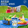 果倍爽年货送礼 儿童果汁饮料礼盒 原装进口饮料 梨子味 200ml*10袋整箱 实拍图