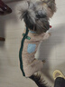 PEITE PET狗狗衣服冬季保暖四脚狗衣服宠物泰迪比熊博美小型犬狗衣服可牵引 卡其色 XL 【适合12-16斤】 实拍图