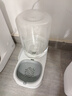 疯狂的主人猫咪狗狗饮水机猫粮全自动喂食器猫碗狗碗用品猫投喂宠物喝水神器 实拍图