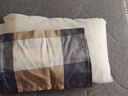 枕头芯一对带枕套套装宿舍枕芯一只单人成人护颈家用租房学生枕头 大格 一个枕芯+一个枕套 实拍图
