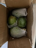 庾丰 芒果新鲜水果生鲜整箱当季大青皮芒 热带孕妇芒果 10斤装(净果9斤)单果200g+ 实拍图