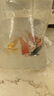 招财如意锦鲤冷水观赏鱼大型纯种精品红白三色招财鱼好养耐活风水鱼活鱼 四季发财（随机颜色4条可指定）  8-10cm 实拍图