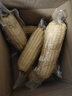 京鲜生东北白玉米200g*8棒 真空包装粘玉米 源头直发 实拍图