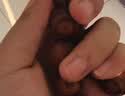老桃木手串百年老料正宗天然平安真桃木转运珠木质手串 百年老桃木18mmX13颗 实拍图