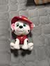 汪汪队立大功（PAW PATROL）汪汪队玩具毛绒全套狗狗玩偶公仔男女孩玩具旺旺队儿童生日礼物 经典款-毛毛公仔【需选尺寸】 小号-坐高约15.2CM 实拍图