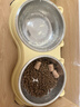 疯狂的主人猫碗双碗不锈钢狗碗宠物碗防打翻食盆猫咪粮盆喝水一体宠物用品 实拍图