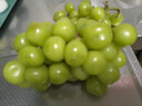 京鲜生 阳光玫瑰葡萄 青提2-2.5斤装 单果约10g 生鲜水果 实拍图