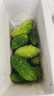 新鲜小苦瓜现摘可生吃播当季山苦瓜农家野生泰式苦瓜特色蔬菜鲜果 1斤 实拍图