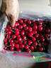 京鲜生 智利进口Santina车厘子2J级5斤礼盒装果径约28-30mm【赠送卡尺】 实拍图
